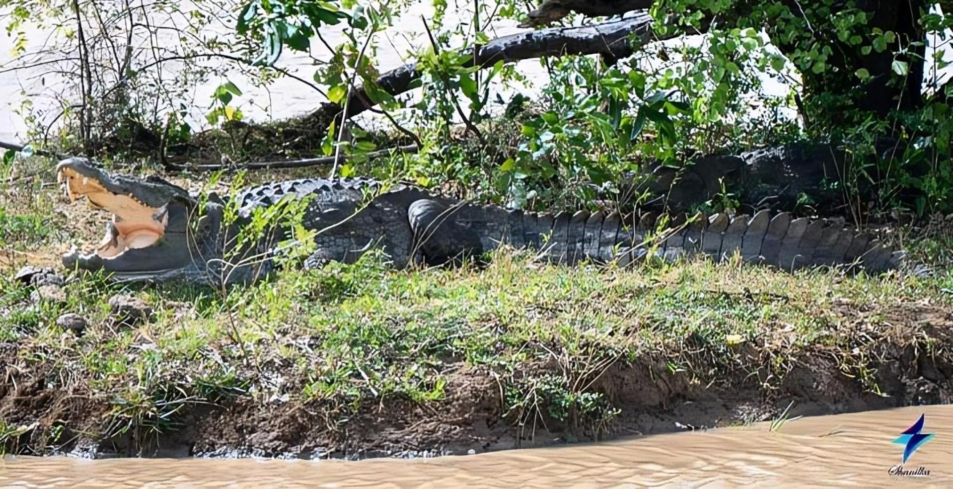فندق Wildlife Safari House اوداوالاوي المظهر الخارجي الصورة